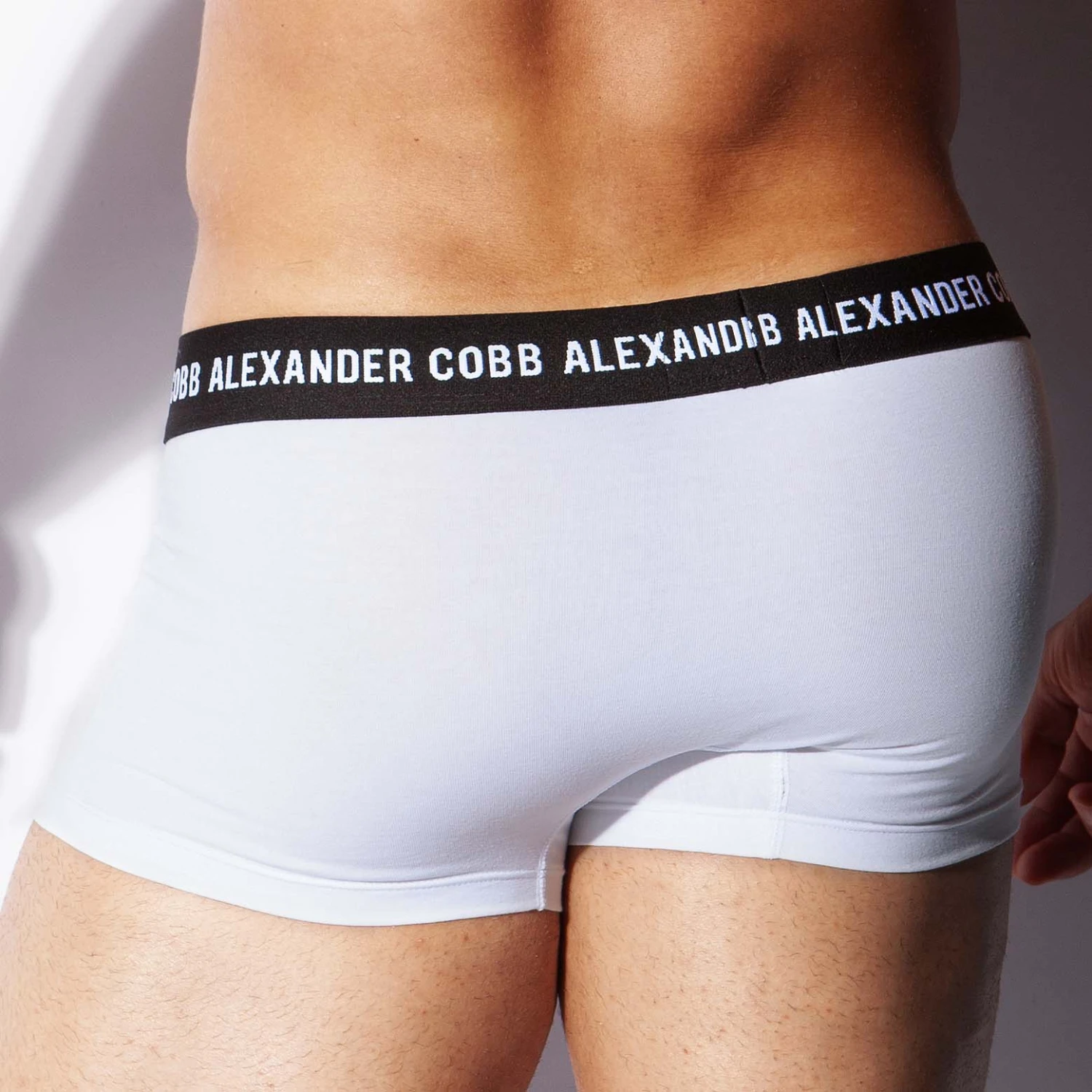 Boxer Bandama Alexander COBB 8CBS21 2 Boxer Bandama Alexander COBB 8CBS21 – Image 2