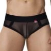Pikante Burly PIK1091 Noir – Transparent Microfiber Empty Bottom Jockstrap