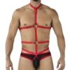 Harnais Cut4Men C4MRAV114 Rouge -Men Attitude Boutique Harnais c4m C4MRAV114 rouge m