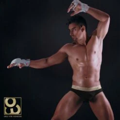 ErgoWear FEEL XV EW0825 – Black & Gold Metallic Waistband Ergonomic Brief Slip -Men Attitude Boutique Slip ergowear EW0825 noir a