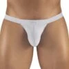 Tanga ErgoWear SLK EW1140 5 Tanga ErgoWear SLK EW1140 -Men Attitude Boutique Tanga ergo EW1140 argent m