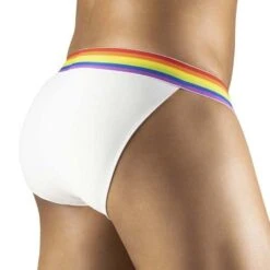 ErgoWear MAX XV Pride Bikini EW1115 – Black Microfiber with Rainbow Logo Waistband -Men Attitude Boutique bikini ergo ew1115 blanc 3