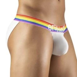 ErgoWear MAX XV Pride Bikini EW1115 – Black Microfiber with Rainbow Logo Waistband -Men Attitude Boutique bikini ergo ew1115 blanc 4