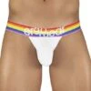 ErgoWear MAX XV Pride Bikini EW1115 – Black Microfiber with Rainbow Logo Waistband -Men Attitude Boutique bikini ergo ew1115 blanc m