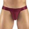 Bikini ErgoWear MAX XV EW1170 5 Bikini ErgoWear MAX XV EW1170 -Men Attitude Boutique bikini ergo ew1170 bordeau m