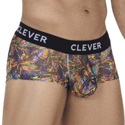 Boxer Clever Bonite 0670 3 Boxer Clever Bonite 0670 – Image 3