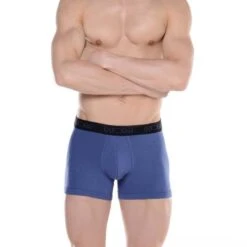 Boxer HOM Sunny Days