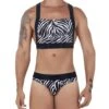 Candyman 99524 Zebra Print Lingerie Set – Sexy Brassière and Thong Ensemble