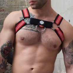 Harnais Brut BREEDWELL