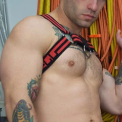 Breedwell Voyeur Black Chest Harness – Metallic Rings and Removable Strap 5 Breedwell Voyeur Black Chest Harness – Metallic Rings and Removable Strap -Men Attitude Boutique harnais breedwell 220512 rouge 4