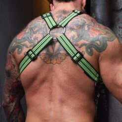 Harnais Hybred BREEDWELL - Gear de Corps avec Anneaux Métalliques et Sangle Amovible -Men Attitude Boutique harnais breedwell 220903 vert 3