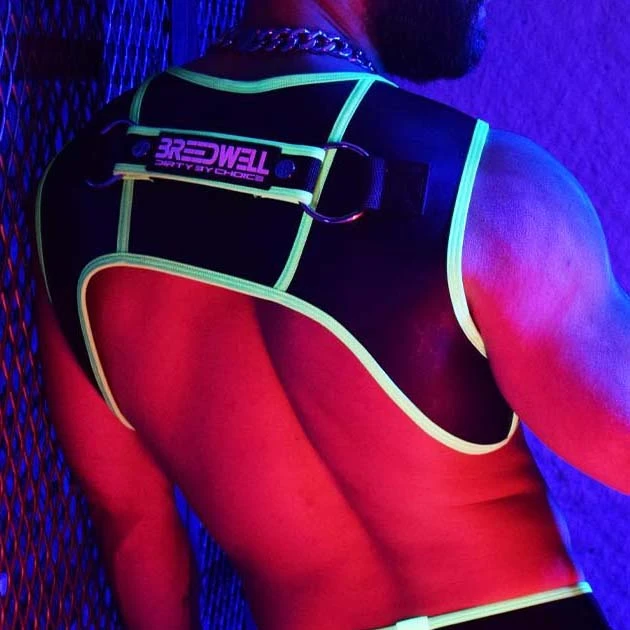 Harnais Neogear BREEDWELL 3 Harnais Neogear BREEDWELL – Image 3