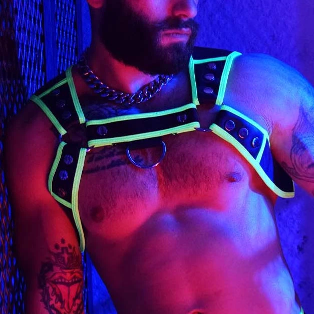 Harnais Neogear BREEDWELL 1 Harnais Neogear BREEDWELL