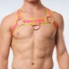 Harnais Homme Garçon Espanola - Design Élastique avec Anneaux Métalliques 5 Harnais Homme Garçon Espanola - Design Élastique avec Anneaux Métalliques -Men Attitude Boutique harnais garcon hesp jaune m