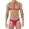 Ensemble Pikante PIK0495 -Men Attitude Boutique harnais pikante pik0495 rouge m