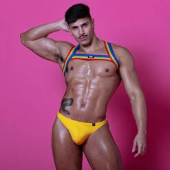 Harnais Rainbow TOF PARIS TOF385RW Multicolore 5 Harnais Rainbow TOF PARIS TOF385RW Multicolore -Men Attitude Boutique harnais tof385rw cmod a