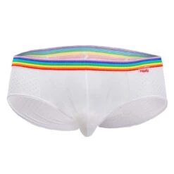 Pikante Fancy PIK8731 Black Mesh - Transparent Pocket Empty Bottom Low Rise Slip -Men Attitude Boutique slip pikante pik8731 blanc 9