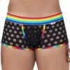 Boxer Candyman Polka Mesh 99511 -Men Attitude Boutique string candy 99511 multicolor m