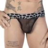 String Eros Veneziani 7422 – Transparent avec Ceinture Imprimée Léopard 6 String Eros Veneziani 7422 – Transparent avec Ceinture Imprimée Léopard -Men Attitude Boutique string eros 7422 noir m