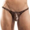 Tanga Wojoer Brauner Leo SP3B14 -Men Attitude Boutique tanga wojoer SP3B14 marron m