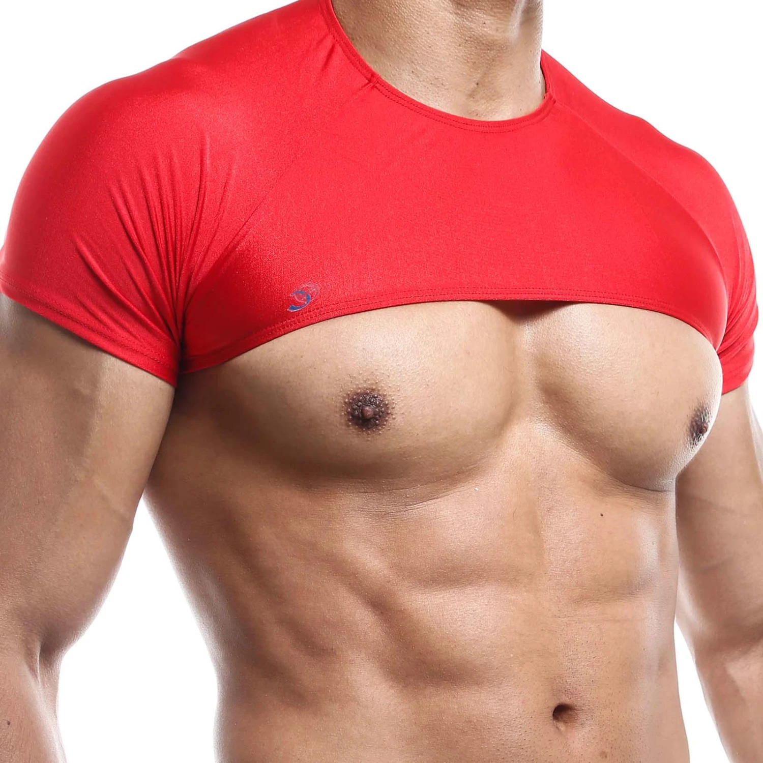 T-shirt Crop Top Joe Snyder JS32 – Coupe Athlétique au-dessus des Pectoraux 2 T-shirt Crop Top Joe Snyder JS32 – Coupe Athlétique au-dessus des Pectoraux – Image 2